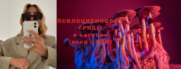 бошки Армянск