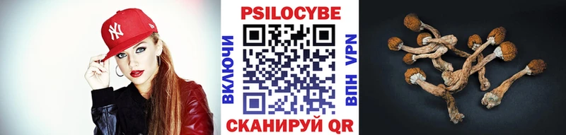 цена наркотик  omg сайт  Псилоцибиновые грибы ЛСД  Бугуруслан 